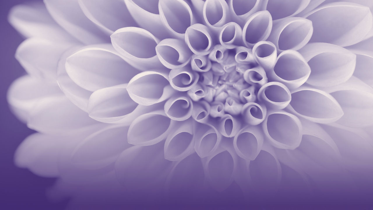 Dreams and Departures