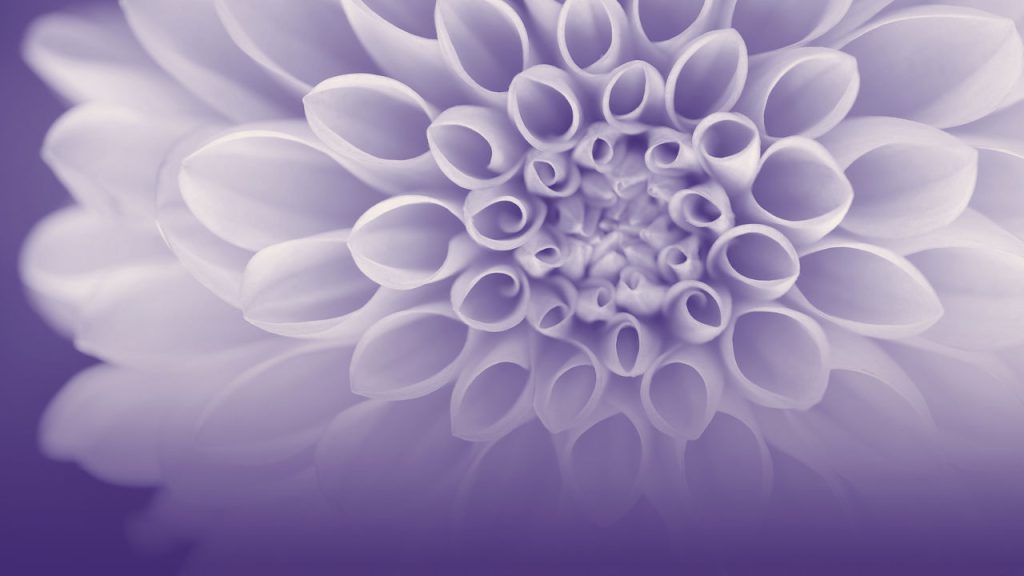 Dreams and Departures